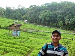 Jatuh Cinta Pada Gampong Simpang Tiga di Aceh Selatan