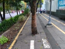 Jebakan di Jalur Sepeda