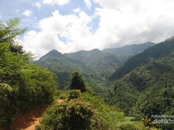 Jelajah Air Terjun Tersembunyi di Sentul, Bogor