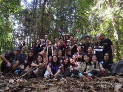 Jelajah Hutan Taman Nasional Gunung Leuser? Siapa takut