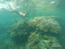 Jelajah Pulau di Kepulauan Seribu, Seru Banget!
