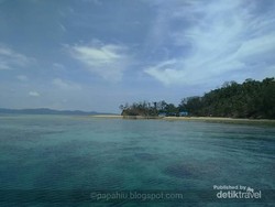 Jika Anda Snorkeling di Pasoso Sulteng, Temannya Penyu Liar!