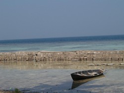 Kacau, Tidung Mulai Tercemar Sampah!