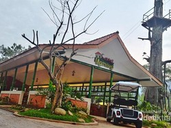 Kampung Pandu, Alternatif Wisata Baru di Bogor
