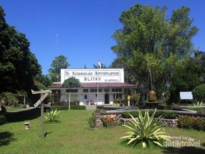 Kamu Pecinta Kopi? Harus Main ke Blitar