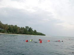 Karimunjawa, Tempat yang Harus Dikunjungi Sebelum Mati