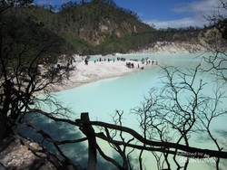Kawah Putih, Pesona Alam Bandung yang Tak Biasa