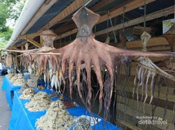 Ke Aceh Besar, Bawa Oleh-oleh Ikan Asin Ya