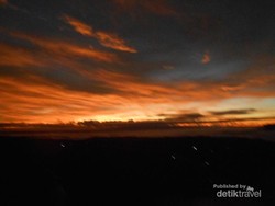 Kebun Buah yang Bagai Negeri Atas Awan di Bantul