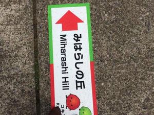 Kebun Bunga Ini di Mana ya?