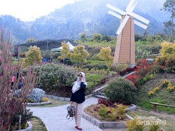 Keelokan Merapi Garden di Kaki Gunung Merbabu