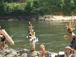 Keindahan Alam Pedalaman Sungai Mahakam