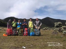 Keindahan Bunga Abadi di Alun-alun Surya Kencana