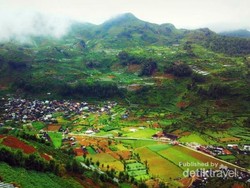 Keindahan Gunung Prau yang Tertutup Kabut