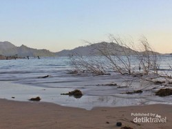 Keindahan Pantai Sako di Padang yang Jarang Orang Tahu