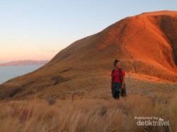 Keindahan Pulau Komodo yang Magis