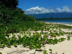 Keindahan Sawai di Maluku yang Masih Tersembunyi