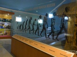 Kembali ke Zaman Purba di Sangiran