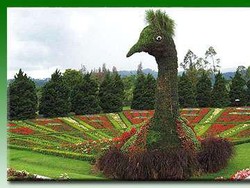 Kemenparekraf Siap Mengembangkan Agrowisata