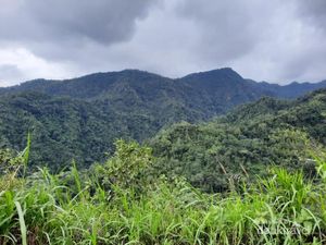 Kemping Murah Meriah dengan Pemandangan Indah di Kudus
