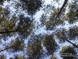 Kemping Seru di Kaki Gunung Manglayang