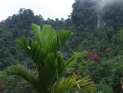 Kenalkan, Ini Dharmasraya yang Eksotis di Tanah Minang