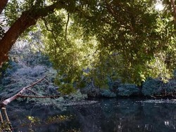 Kenangan mengunjungi Tokyo, Jepang