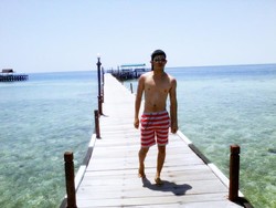 Kepulauan Derawan, Dari Penyu sampai Ubur-ubur Tak Menyengat