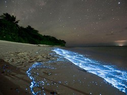 Keren! Ada Gemerlap Cahaya di Lautan Maladewa
