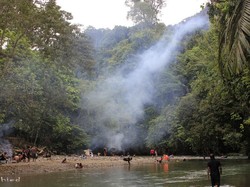 Keren! Bisa Memberi Makan Gajah di Hutan Langkat