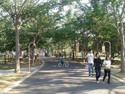 Keren! Jakarta Masih Punya Taman Raksasa Super Nyaman