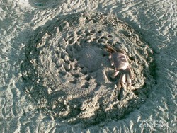 Keren! Kepiting Mengukir Pasir