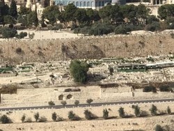 Kerukunan 3 Umat Beragama di Kota Suci Yerusalem