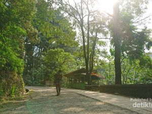 Kesejukan Alam dan Nilai-nilai Sejarah di Tahura Juanda