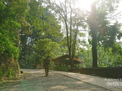 Kesejukan Alam dan Nilai-nilai Sejarah di Tahura Juanda