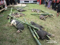Kesempatan Langka, Menyaksikan Pemakaman Toraja