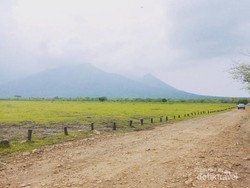 Keseruan Bertualang ke Afrika-nya Jawa