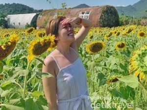 Khao Yai, Pesona Eropa di Kota Bangkok