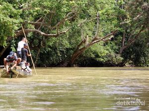 Kisah Manusia Misterius di Gunung Bukit Raya Kalimantan