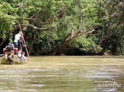 Kisah Manusia Misterius di Gunung Bukit Raya Kalimantan