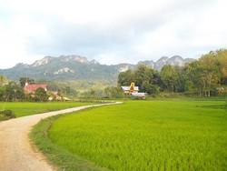 Kisah Romeo-Juliet dan Pohon Makam Bayi di Toraja