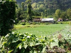 Kisah Tengkorak Manusia di Desa Trunyan Bali
