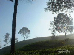 Kisah Villa Angker di Pangalengan, Bandung