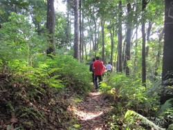 Konon Air Terjun Cantik di Tretes ini Dipakai untuk Bertapa