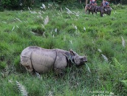 Kutinggalkan Hati untuk Nepal yang Memesona