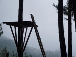 Lanskap Cantik Ini Ada di Tasikmalaya, Tahu?