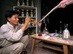 Le Mat, Desa Ular di Vietnam