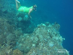 Lebaran di Kendari, Sekalian Snorkeling di Pulau Hari