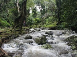 Lebih Dekat dengan Alam di Kelok Inang-inang Aceh