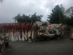 Lebih Dekat dengan Sang Raja Hutan di Batu Secret Zoo